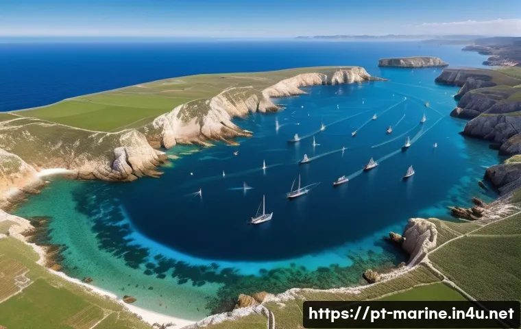 해양 자원 보존과 개발의 균형 - A detailed aerial view of a sustainable marine spatial planning map off the coast of Portugal, illus...